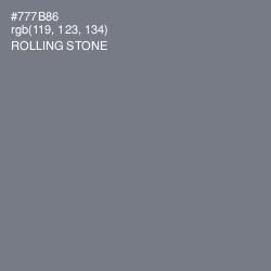 #777B86 - Rolling Stone Color Image
